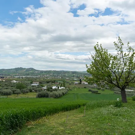 Guest house Marli Corropoli