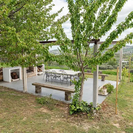 Guest house Marli 3*